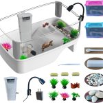 reptile habitat setup kit