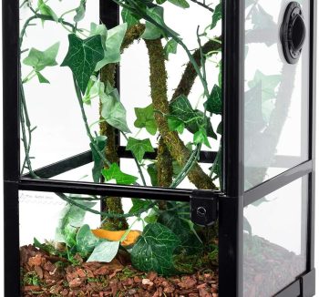 terrarium glass tank