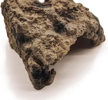 reptile cave hideout