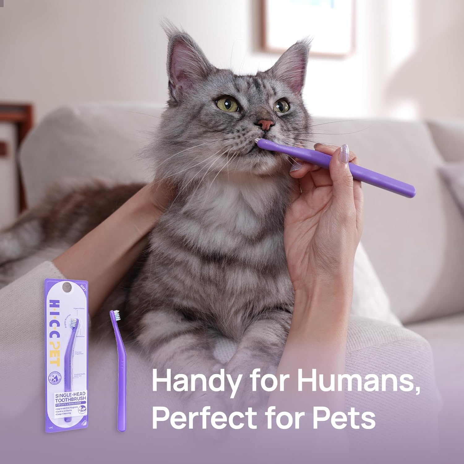 HICC PET Toothbrush for Cats & Small Dogs, Vet-Recommended Ergonomic Pet Toothbrush for Easy Teeth Cleaning, Gentle on Gums, Cat & Dog Dental Care, Improves Oral Hygiene. Toothpaste Not Included - Happypetzone.online - Image 11