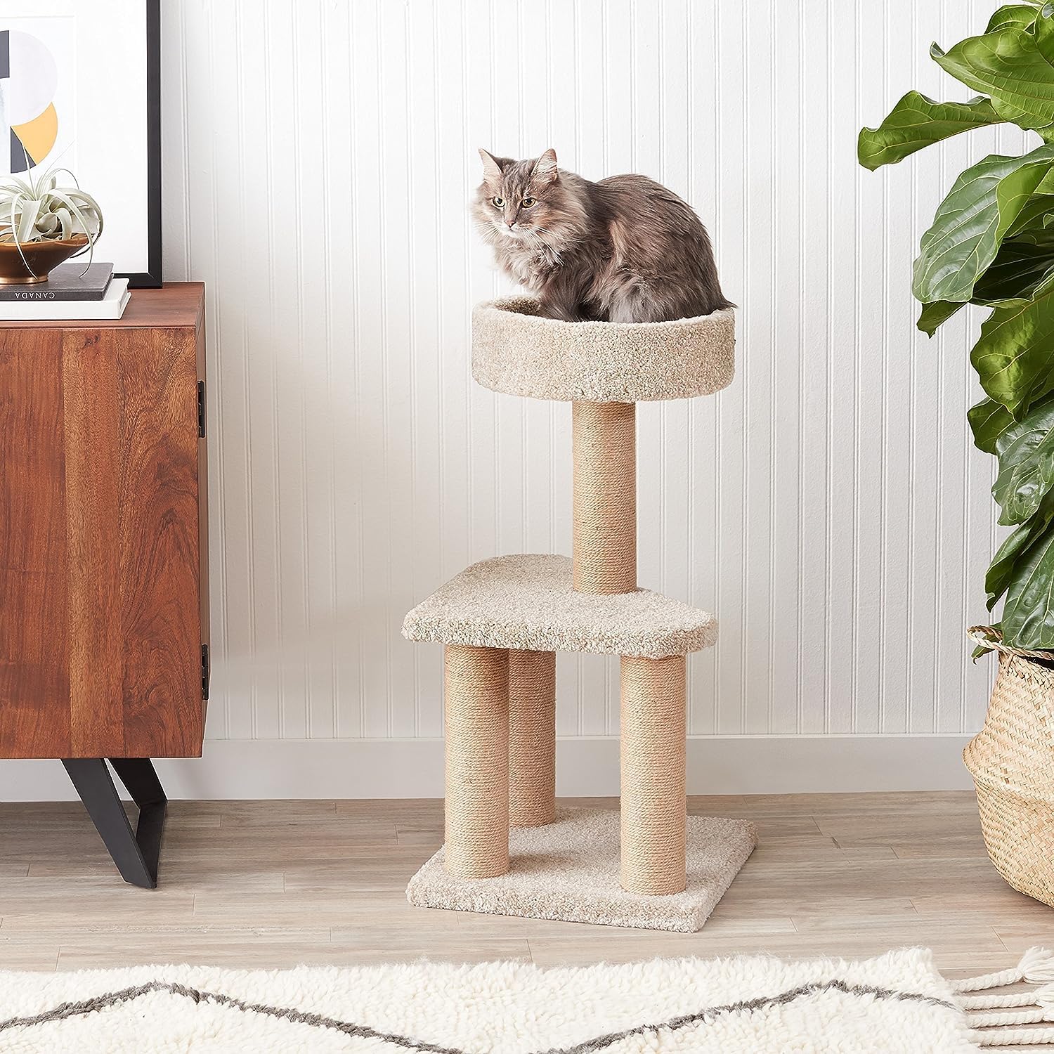 Amazon Basics Cat Tree - Multi-Level Climbing Activity Tower with Jute Rope Scratching Posts for Indoor Cats & Kittens, Medium (31.5"H), Beige - Happypetzone.online - Image 3