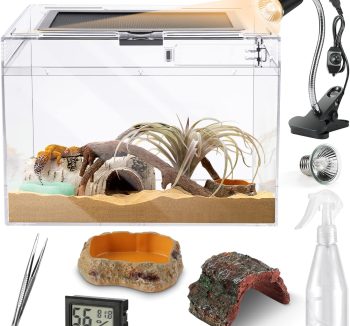 reptile tank starter kit