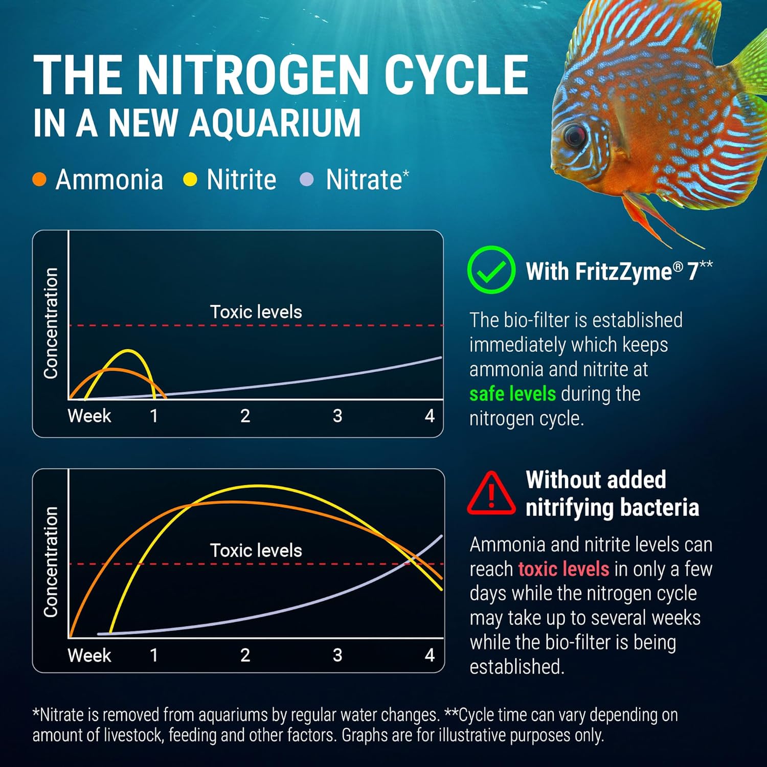 Fritz Aquatics FritzZyme 7 Live Nitrifying Bacteria Naturally Removes Amonia & Nitrite for Freshwater Fish (32-Ounce) - Happypetzone.online - Image 5