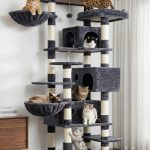 cat tree for big cats