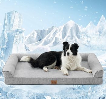 cooling dog bed summer