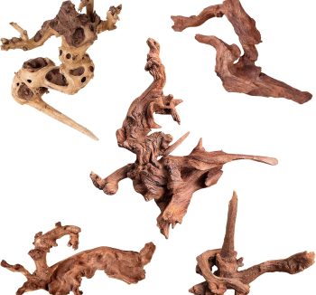 reptile decor rocks