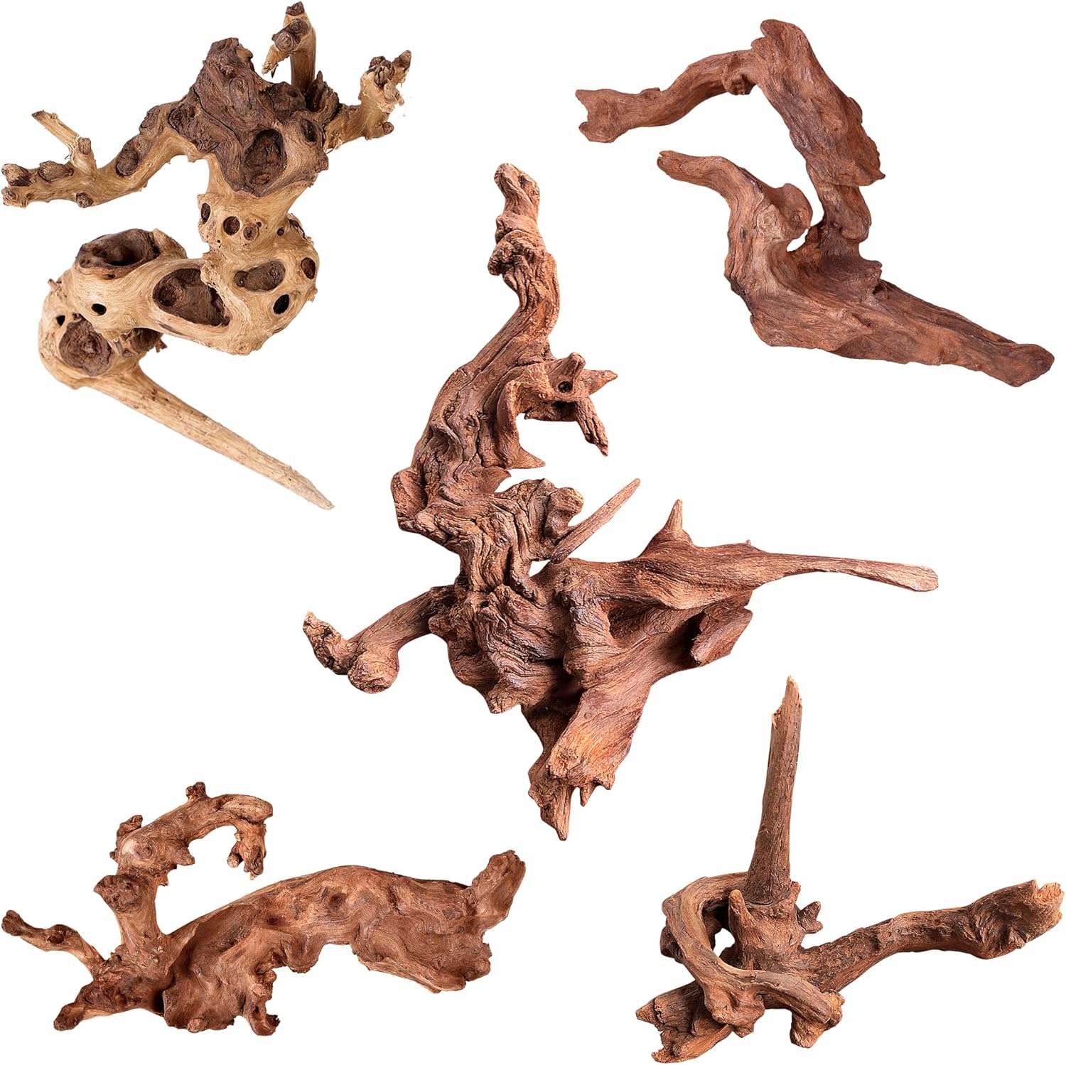 reptile decor rocks