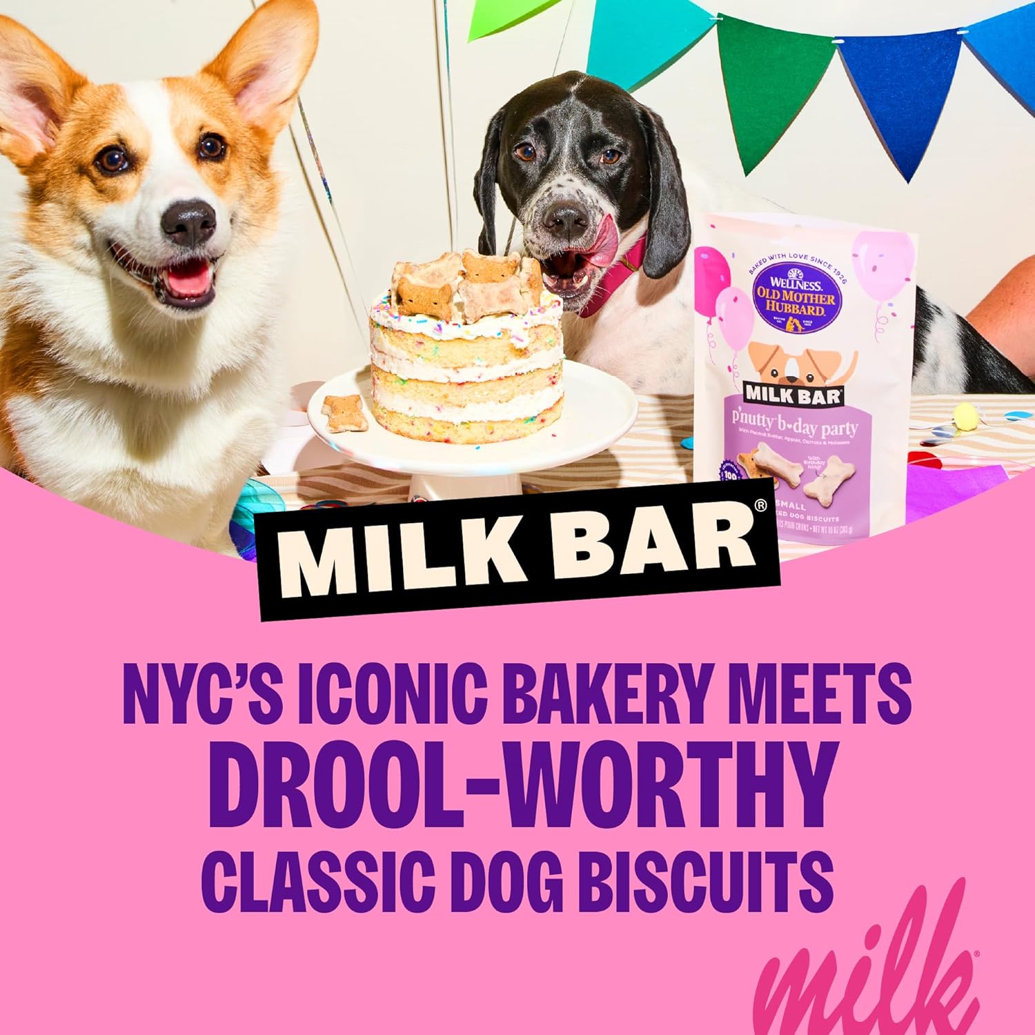 Wellness Old Mother Hubbard Milk Bar P'Nutty B-Day Party Dog Biscuits, Natural Treats, Peanut Butter Flavor with Birthday Icing, 10 oz Bag - Happypetzone.online - Image 2