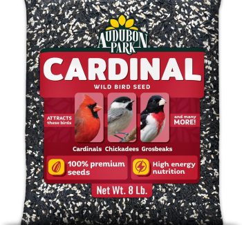 bird seed mix