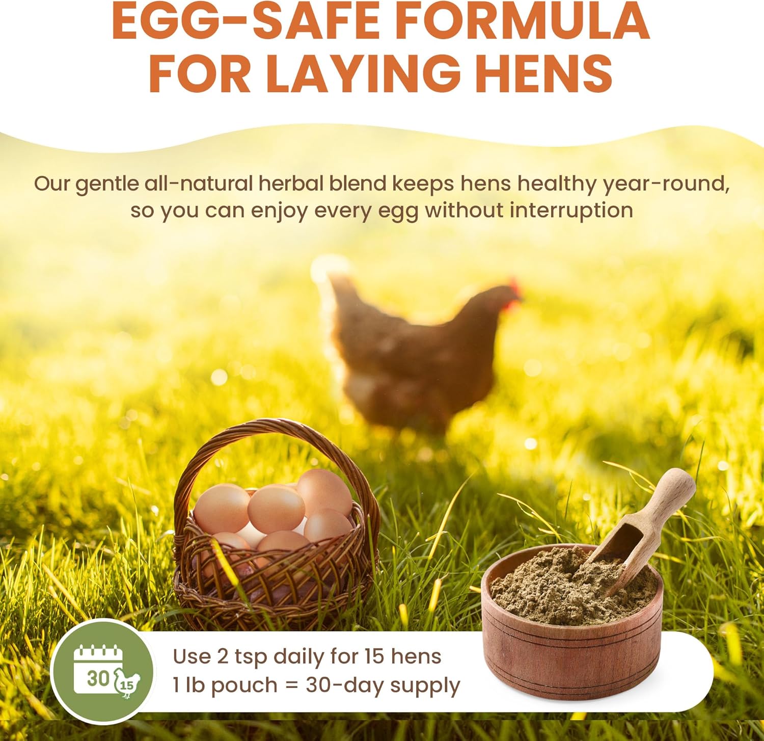 Natural Chicken Dewormer Chili Mix Powder (1 lb) | Herbal Poultry Wormer & Parasite Support for Laying Hens | Egg-Safe Chicken Dewormer for Backyard Flocks | 1 lb Bag - Happypetzone.online - Image 4