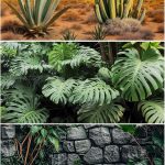 reptile background decor