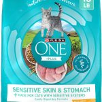 best cat food