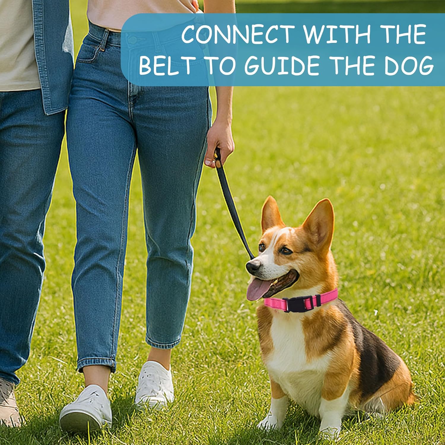 30 Pcs Reflective Dog Collar Bulk Adjustable Nylon Puppy Collar for Small Medium Girl and Boy Dogs Large Dogs Multiple Pet with Quick Release Buckle for PET Travel Walk Daily (Medium, 10 Colors) - Happypetzone.online - Image 4