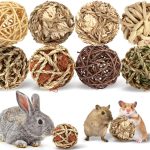 rabbit chew toys