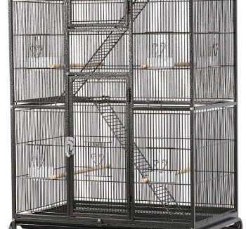 bird cage large