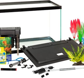 freshwater aquarium tank