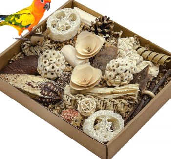 bird food for small birds