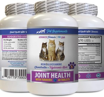 cat joint supplement