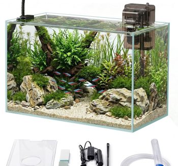premium aquarium tank