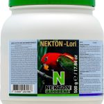 high protein bird food