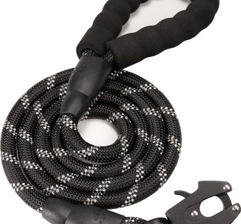 dog leash for large dogs