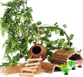 reptile accessories amazon best