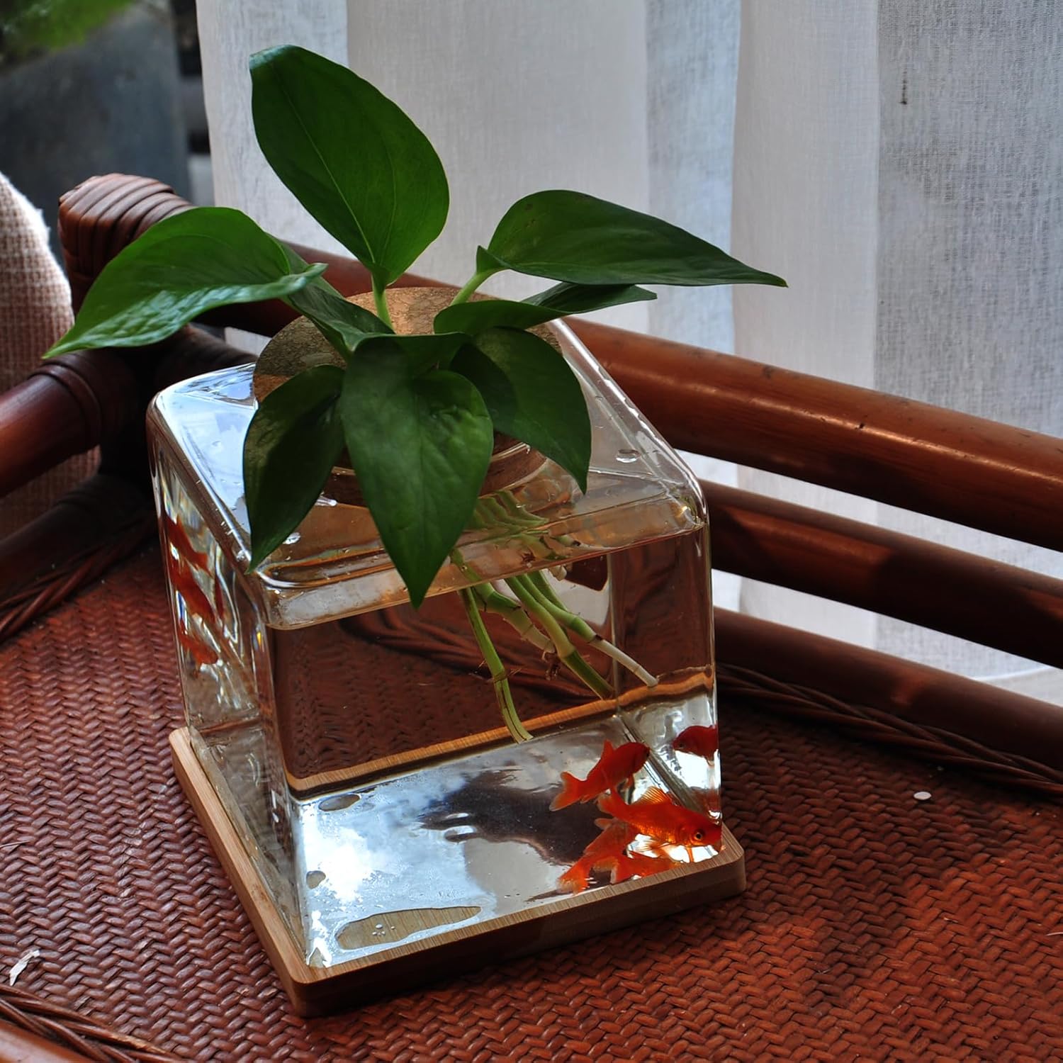 Desktop Betta Fish Tank with Wood Lid and Bamboo Stand Small Fish Bowl Glass for Beta Fish Hydroponic Plant Terrarium Aquarium Starter Kit 0.5 Gallon - Happypetzone.online - Image 6