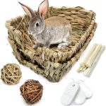 guinea pig enrichment toys