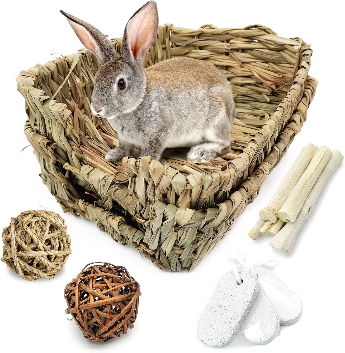 guinea pig enrichment toys
