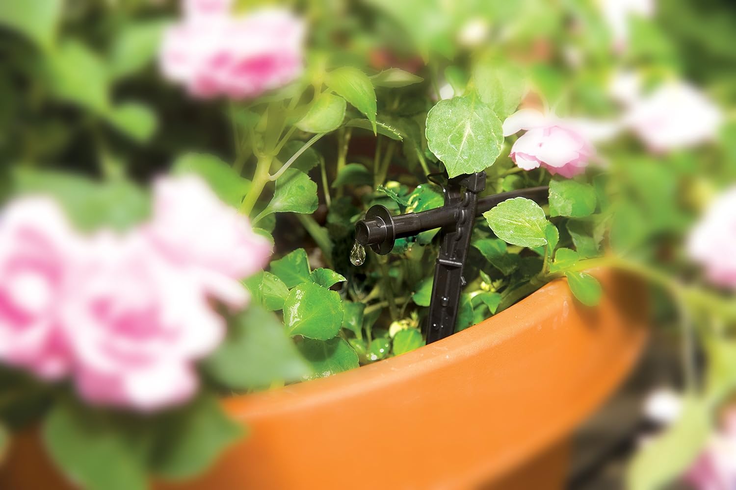 Rain Bird PATIOKIT Drip Irrigation Patio Watering Kit, Connects to Faucet, 1/4" Drip Tubing - Happypetzone.online - Image 5