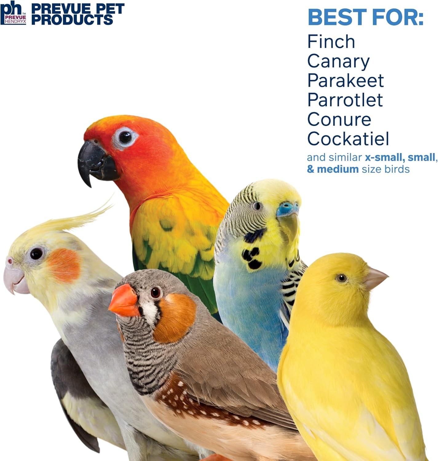 Pervue Pet Products Naturals Preen & Pacify Woodland Harvest Bird Toy 62549 - Happypetzone.online - Image 4