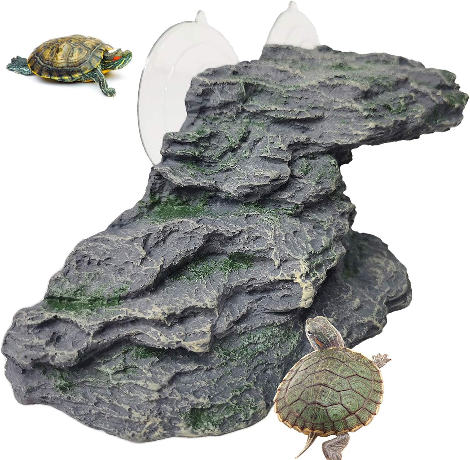 reptile basking platform