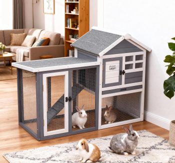 rabbit hutch outdoor