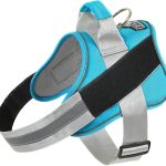 dog harness no pull