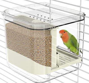 canary bird food