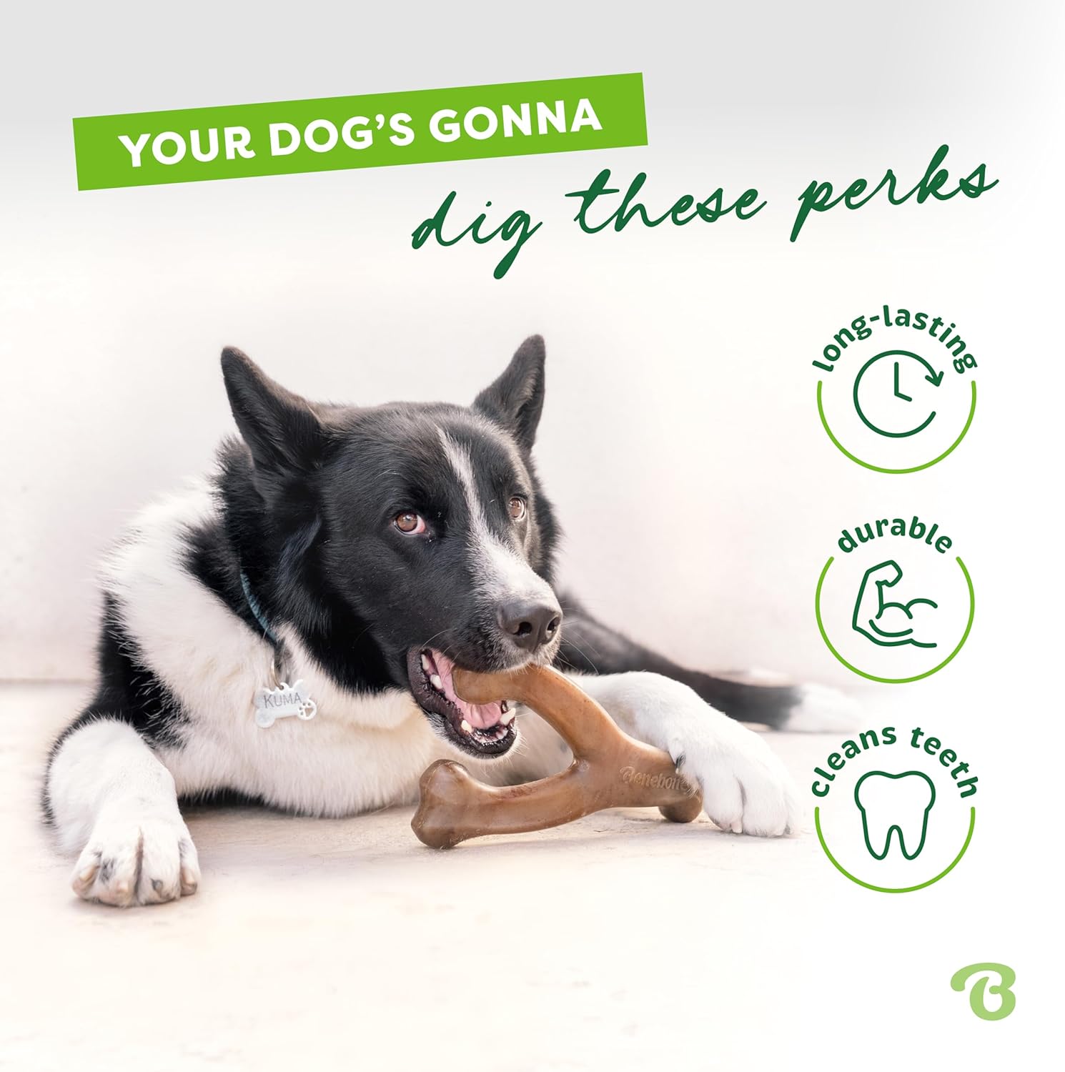 Benebone Wishbone Durable Dog Chew Toy for Aggressive Chewers, Made in USA, Large, Real Bacon Flavor - Happypetzone.online - Image 3