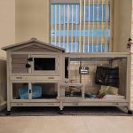 guinea pig cage large