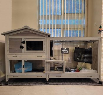 guinea pig cage large