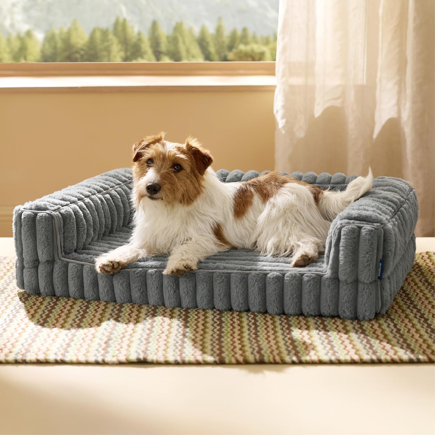 cat bed soft