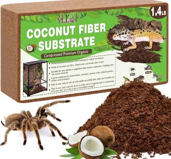 reptile sand substrate
