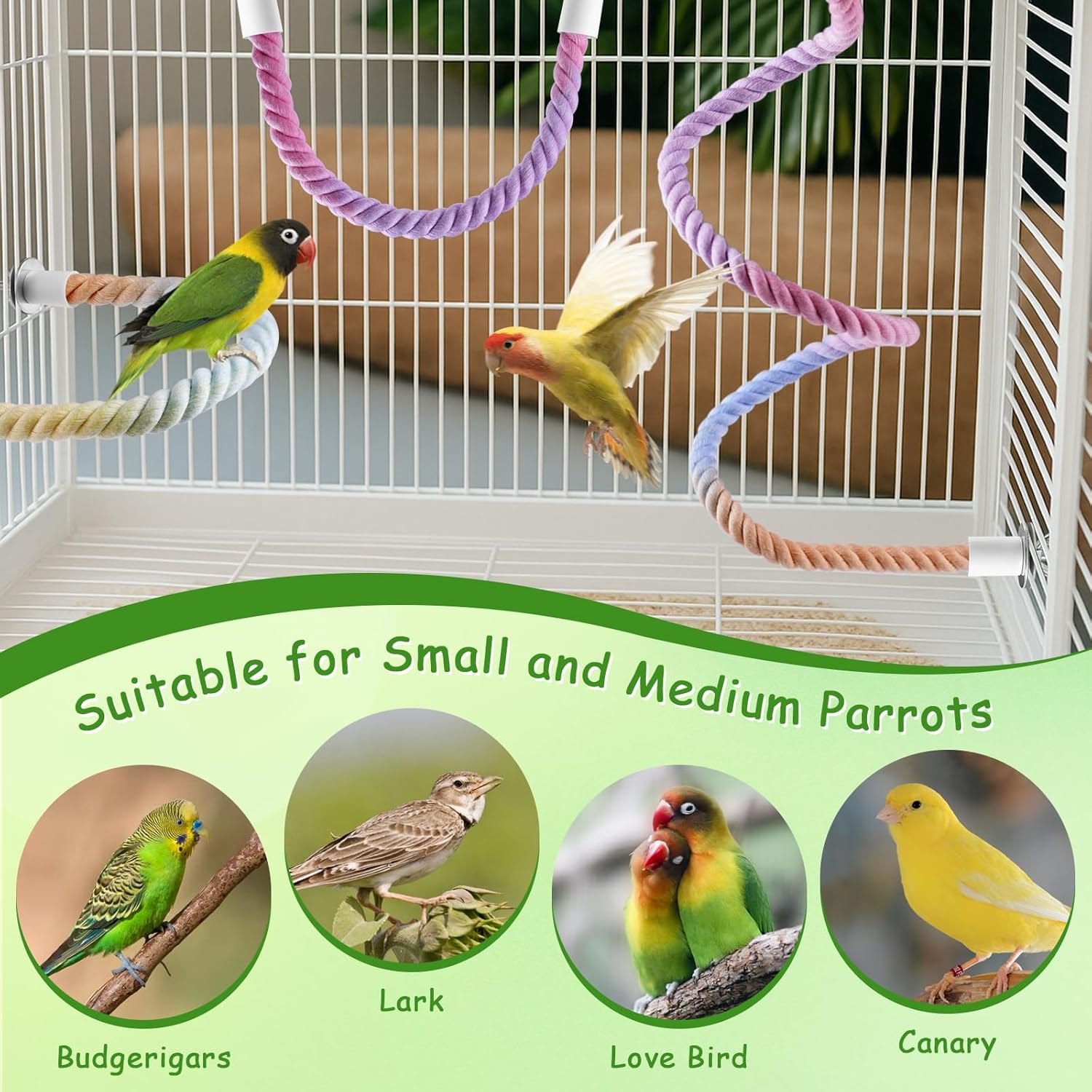 3 Pcs Bird Rope Perches Gradient Color, Bendable Parrot Bird Perch Rope Stand for Cage, Stand Climbing Stand Toy for Cockatiels, Lovebirds, Budgies, Parakeets (2 Short + 1 Long) - Happypetzone.online - Image 7