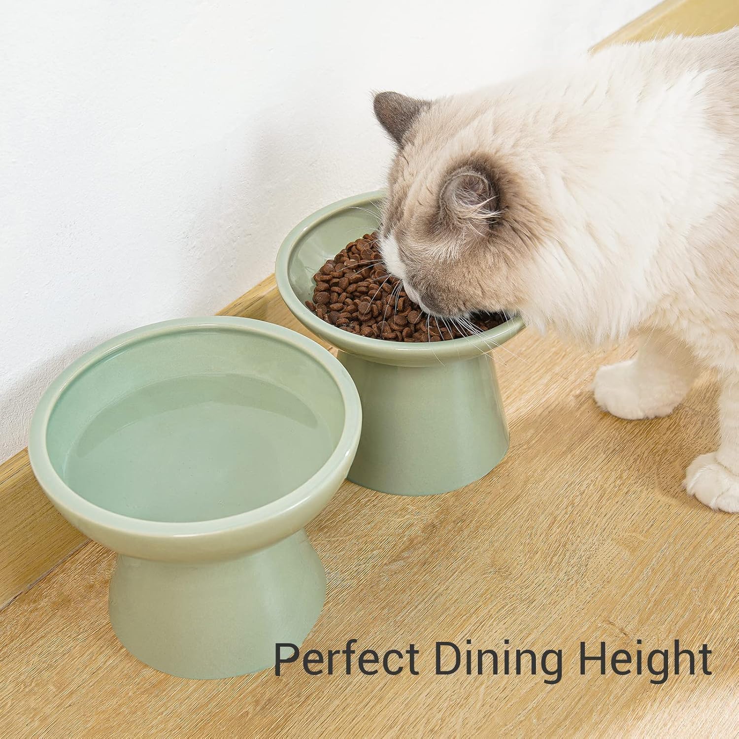 CEEFU 2 Elevated Ceramic Cat Bowls Extra Wide for Food & Water – Whisker Fatigue Shallow Food Dish, Lead & Cadmium-Free, Raised Height for Cats, Sage Green - Happypetzone.online - Image 4