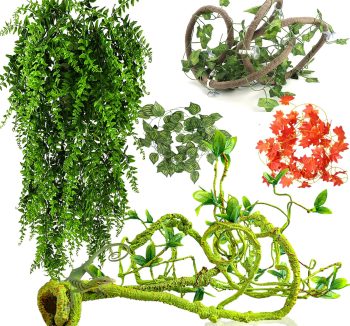 reptile tank decorations