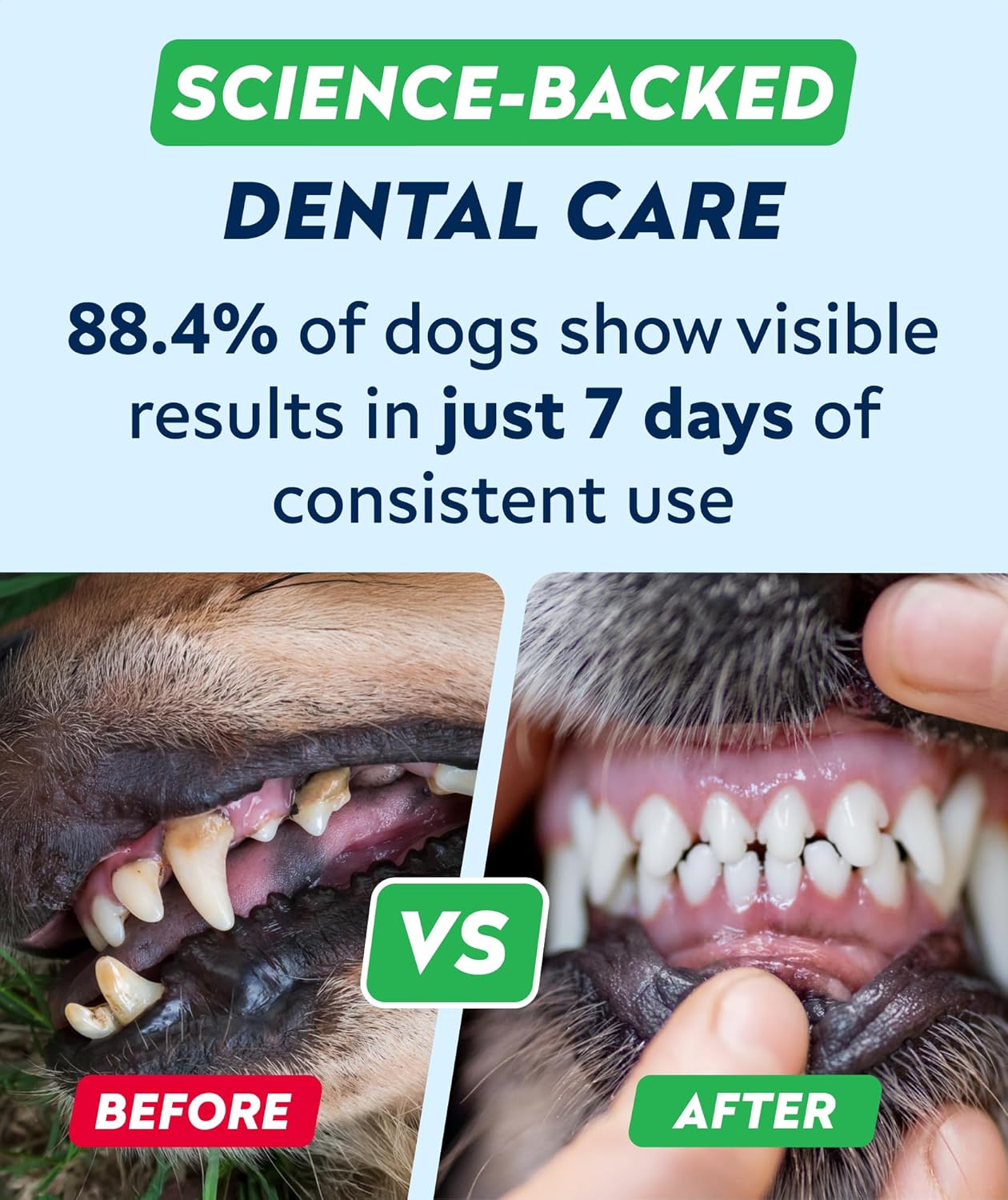 STRELLALAB Advanced Dog Dental Chews & Breath Freshener – Dog Teeth Cleaning Treats, Bad Breath Control, Plaque & Tartar Off, Pet Oral Care, Pro Perio Support, Lab Co Bright Formula – 90 Treats - Happypetzone.online - Image 4