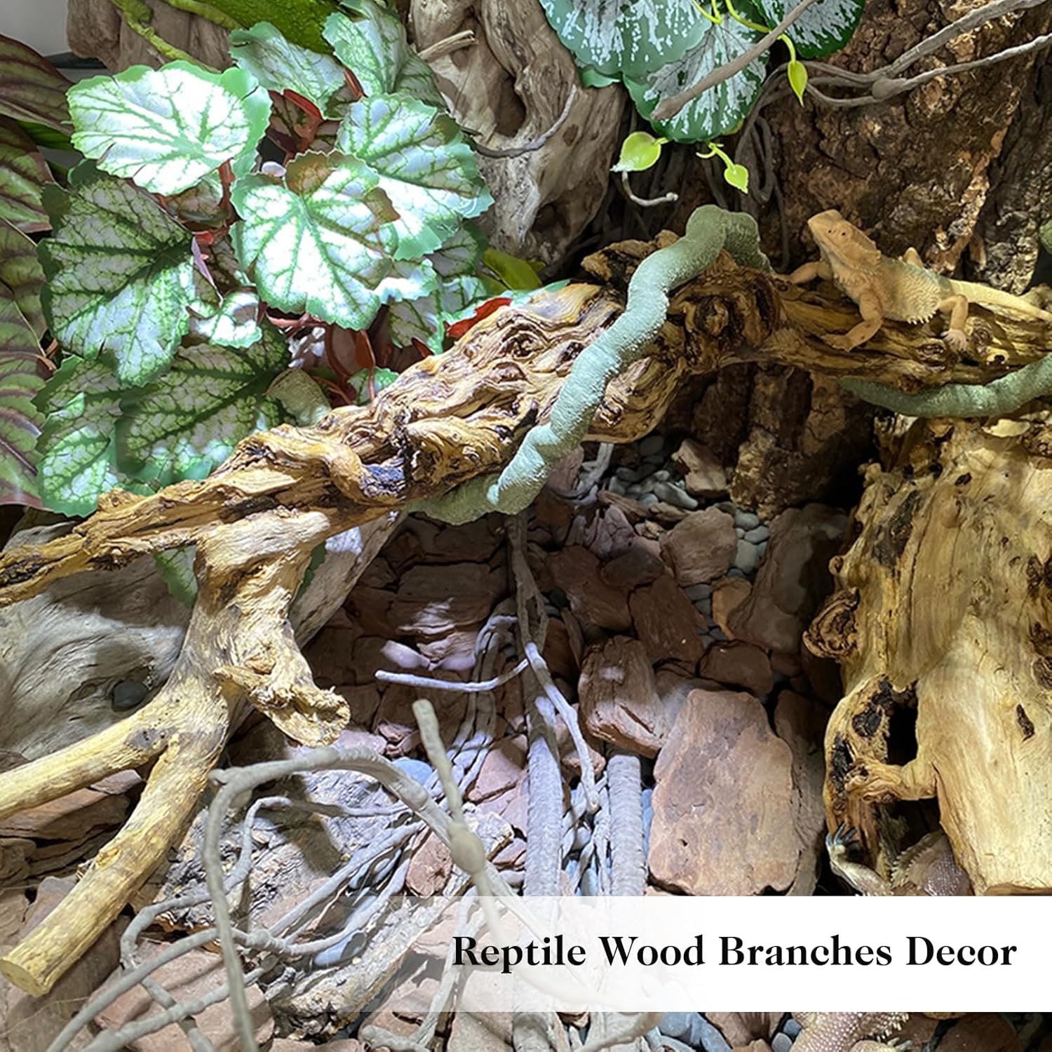 VCEPJH 2 Pack Reptile Wood Branches, Snake Climbing Branch Natural Bearded Dragon Log Tank Accessories Tree Trunk for Chameleon Gecko Snake Frog Spider - Happypetzone.online - Image 7