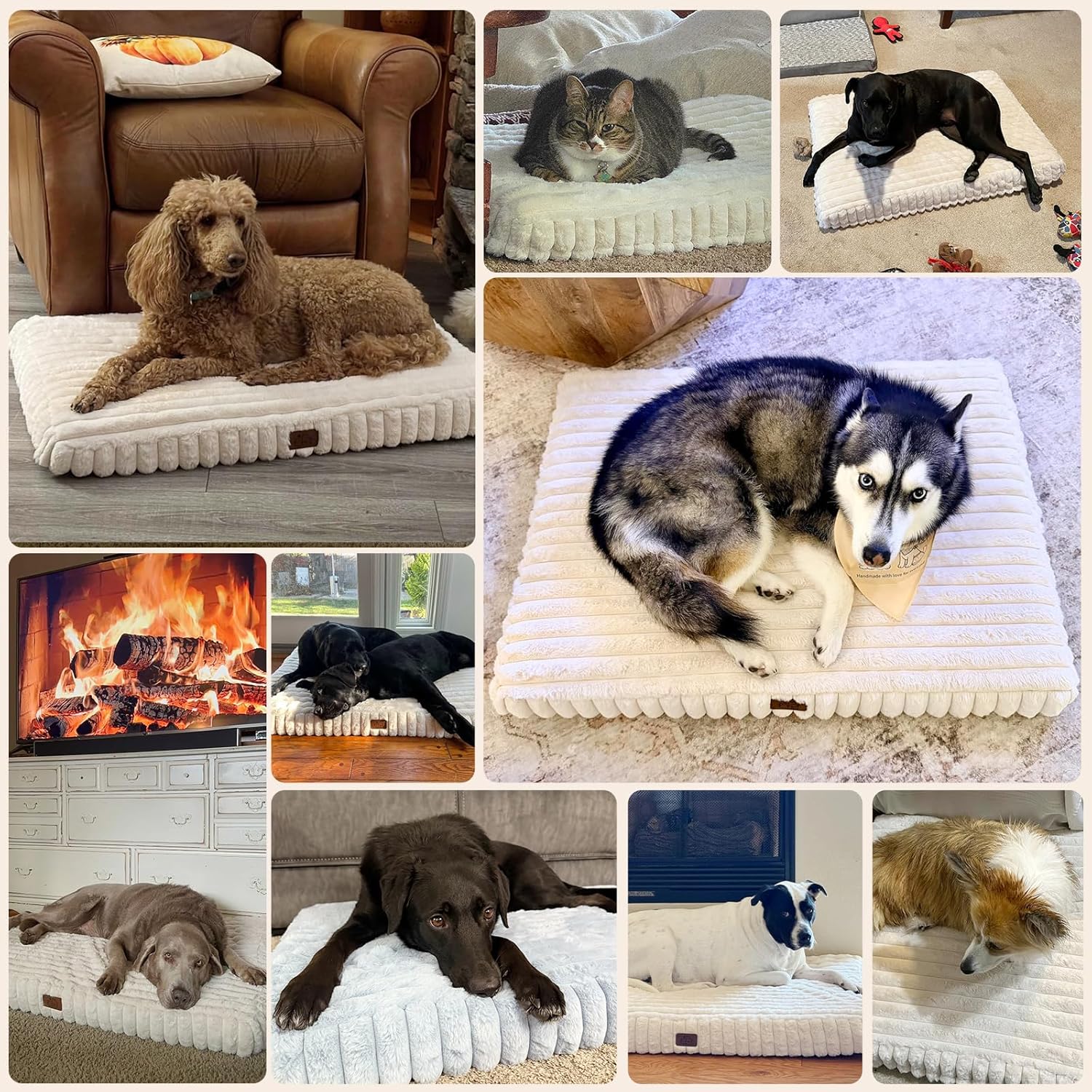 Orthopedic Dog Bed for Large Dog, Waterproof Pet Bed,Non-Slip Bottom and Egg-Crate Foam with Removable Washable Cover Crate Bed,Cream,36"x27"x3" - Happypetzone.online - Image 7