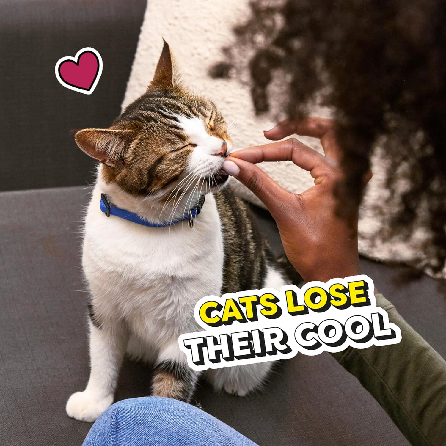Temptations Cat Treats, Classic Crunchy and Soft Cat Treats, Blissful Catnip Flavor, Catnip Treats, 16 oz. Tub - Happypetzone.online - Image 11