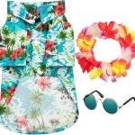 dog outfit summer