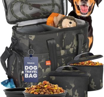 best dog travel gear