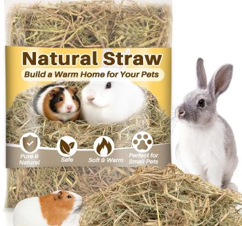 rabbit bedding hay base